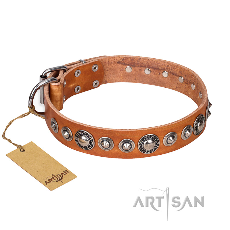 "Daily Chic" FDT Artisan Tan Leather Black Russian Terrier Collar with Decorations