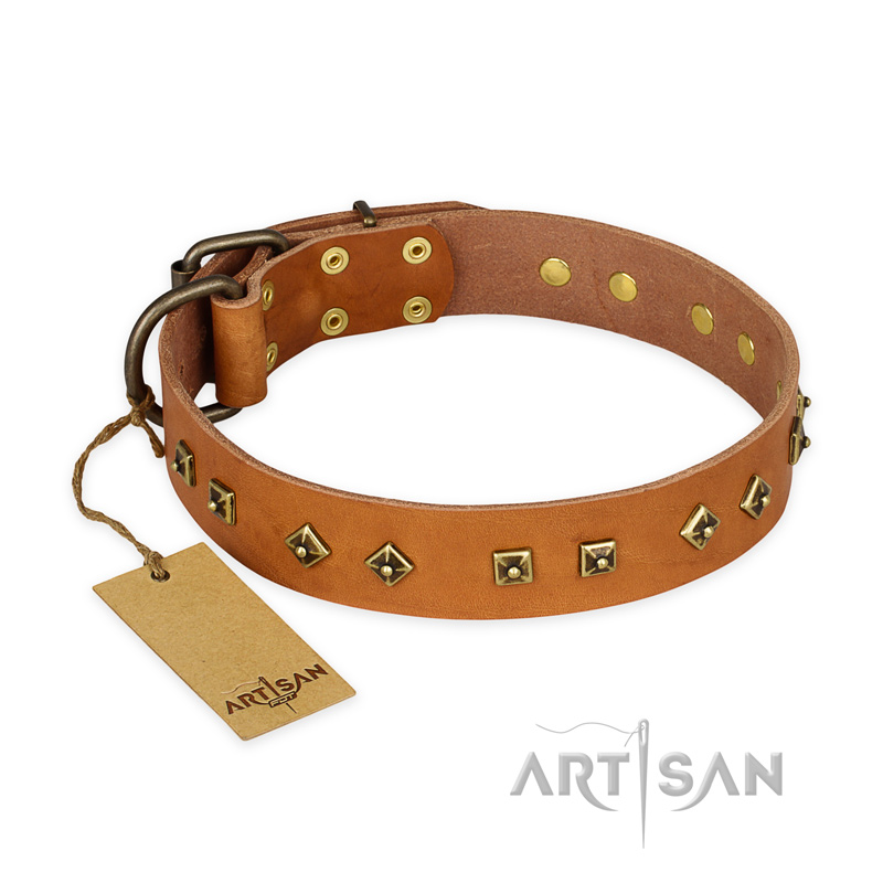 "Autumn Story" FDT Artisan Leather Black Russian Terrier Collar with Old Bronze Look Studs