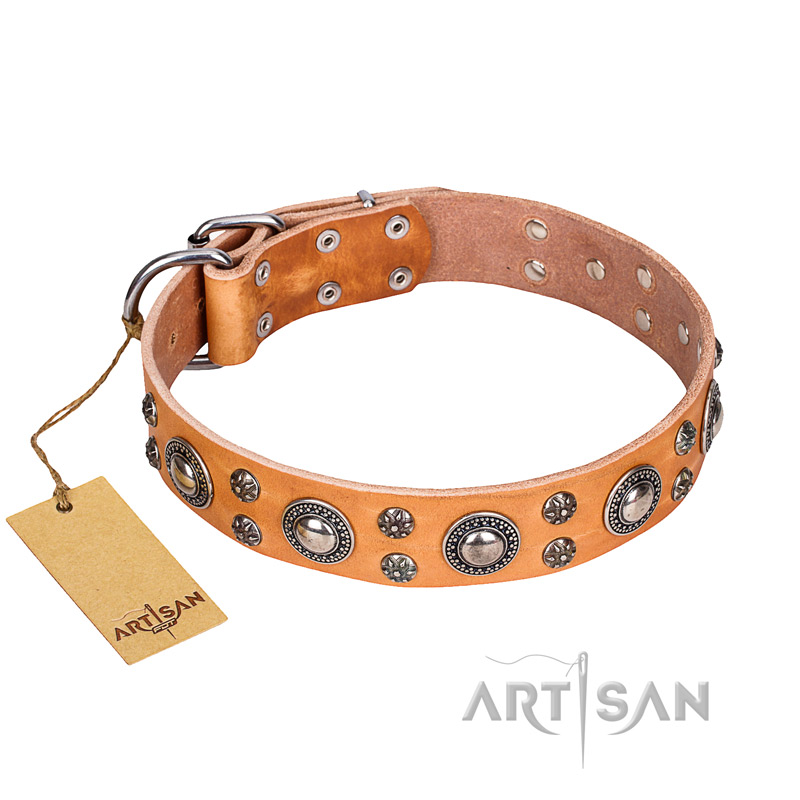 "Extra Sparkle" FDT Artisan Handcrafted Tan Leather Black Russian Terrier Collar