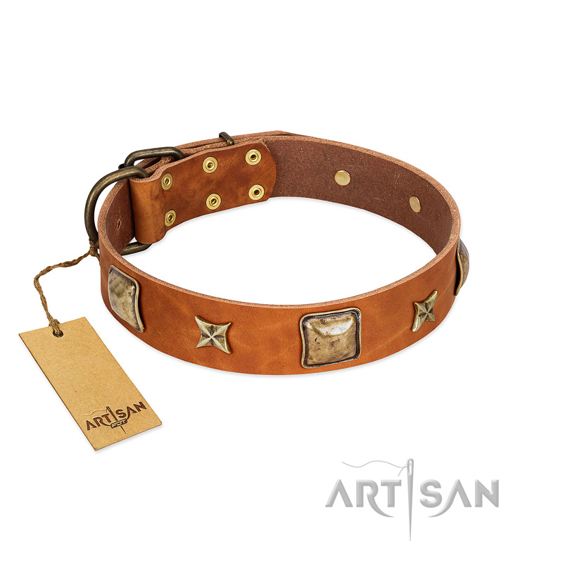 "Celtic Tunes" FDT Artisan Tan Leather Black Russian Terrier Collar Adorned with Stars and Squares