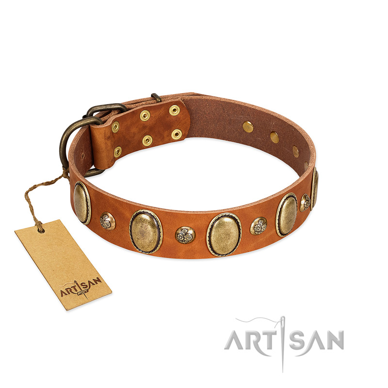 "Venus Breath" FDT Artisan Tan Leather Black Russian Terrier Collar with Vintage Looking Oval and Round Studs