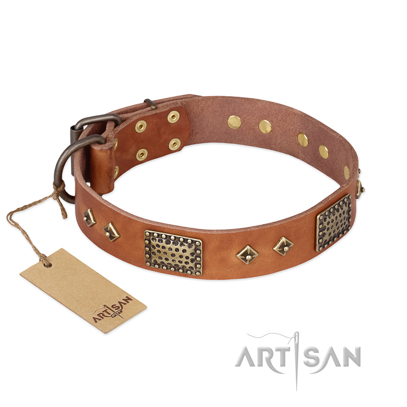 "Catchy Look" FDT Artisan Decorated Tan Leather Black Russian Terrier Collar