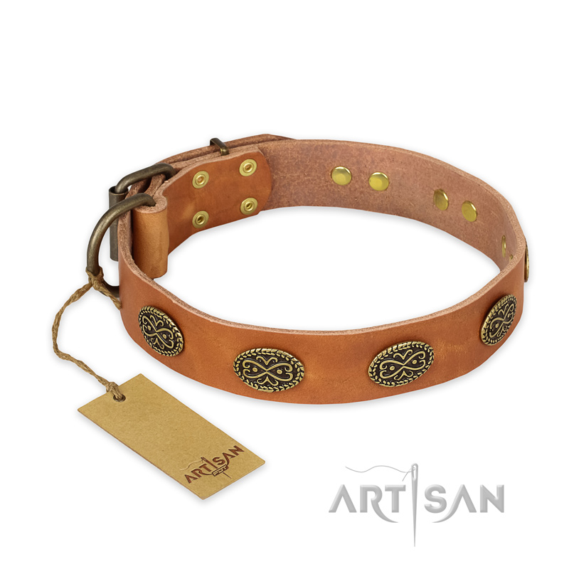 "Magic Amulet" FDT Artisan Tan Leather Black Russian Terrier Collar with Oval Studs