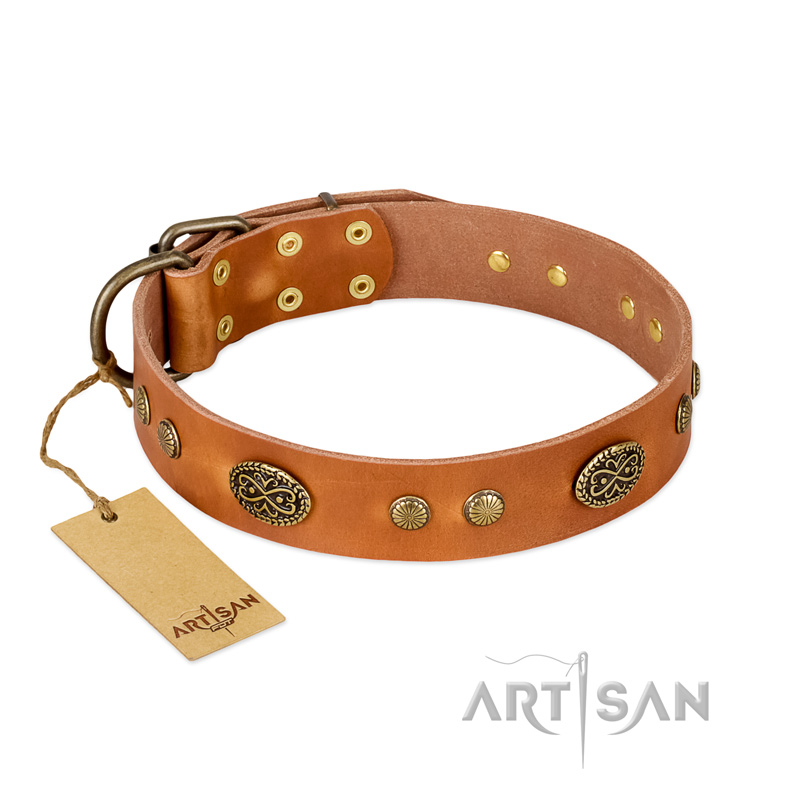 "Sun Beams" FDT Artisan Tan Leather Black Russian Terrier Collar with Decorations