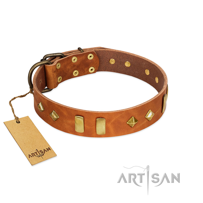 "Woofy Dawn" FDT Artisan Tan Leather Black Russian Terrier Collar with Plates and Rhombs