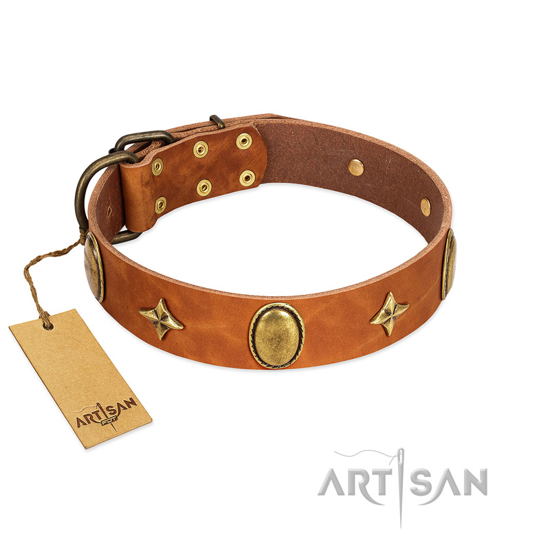 "Space Warrior" FDT Artisan Tan Leather Black Russian Terrier Collar with Ovals and Stars