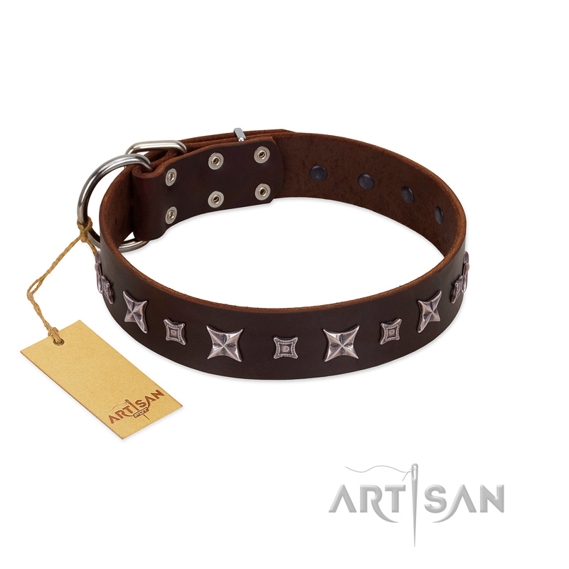 "Stellar Fairy " FDT Artisan Brown Leather Black Russian Terrier Collar with Chrome-plated Star-like Decorations