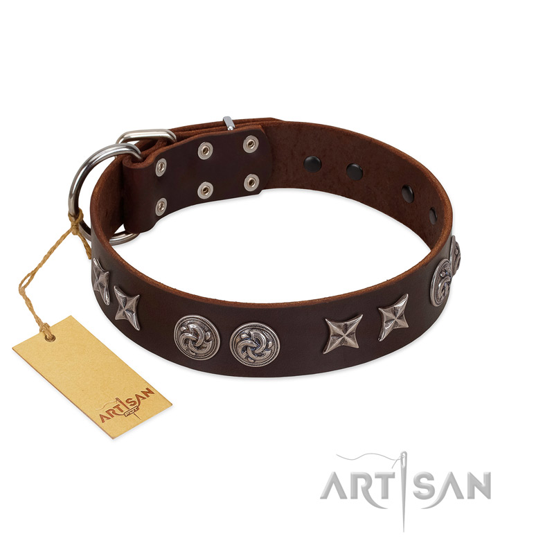 "Silver Sunset" Designer Handmade FDT Artisan Brown Leather Black Russian Terrier Collar