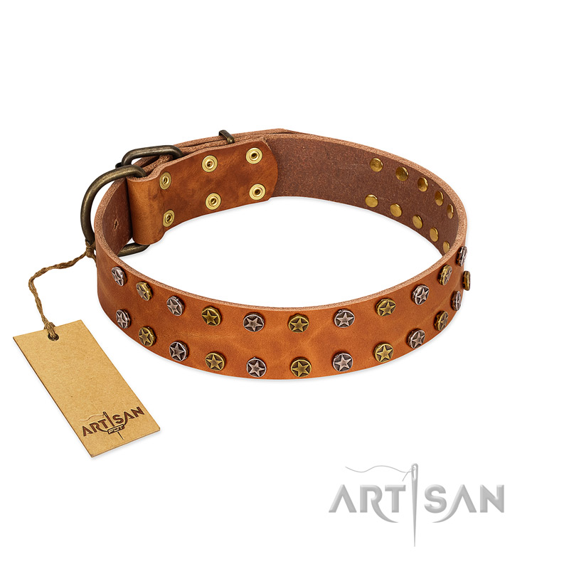 "Walk and Shine" FDT Artisan Tan Leather Black Russian Terrier Collar with Antiqued Studs