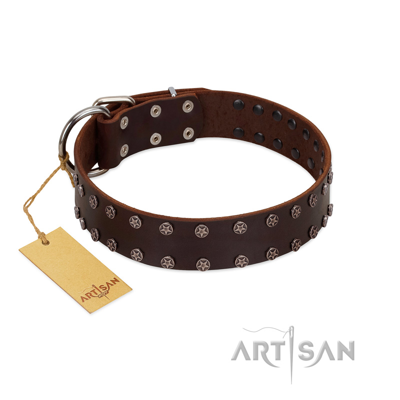 "Star Party" Handmade FDT Artisan Brown Leather Black Russian Terrier Collar with Silver-Like Studs