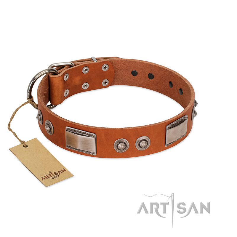 "Pawsy Glossy" FDT Artisan Exclusive Tan Leather Black Russian Terrier Collar 1 1/2 inch (40 mm) wide