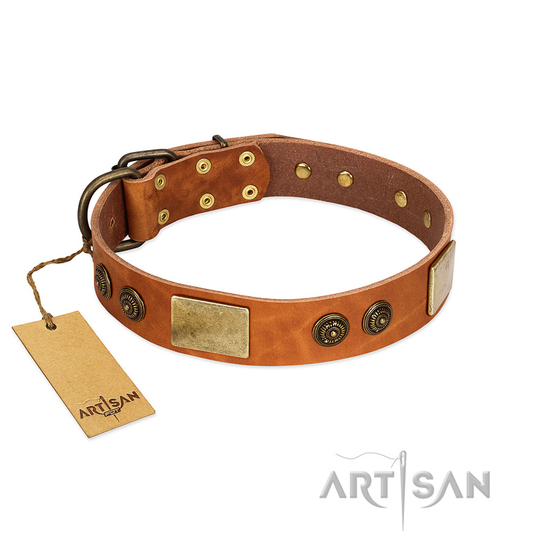 "Bronze Century" FDT Artisan Tan Leather Black Russian Terrier Collar with Plates and Brooches with Cool Ornament