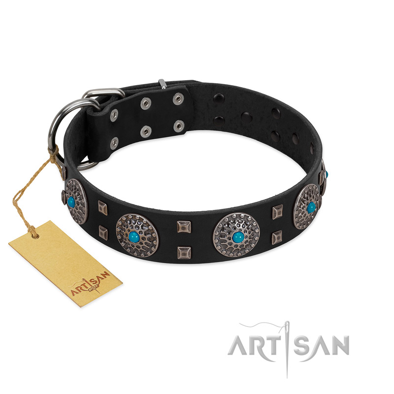 "Boundless Blue" FDT Artisan Black Leather Black Russian Terrier Collar with Chrome Plated Brooches and Square Studs