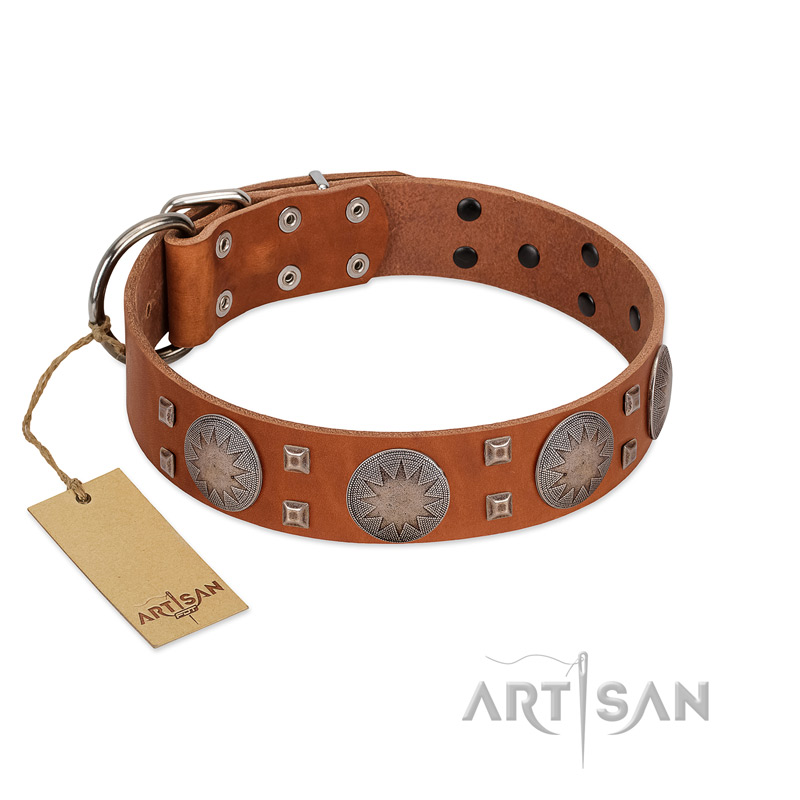 "Sun Rise Noon" FDT Artisan Tan Leather Black Russian Terrier Collar with Unique Design