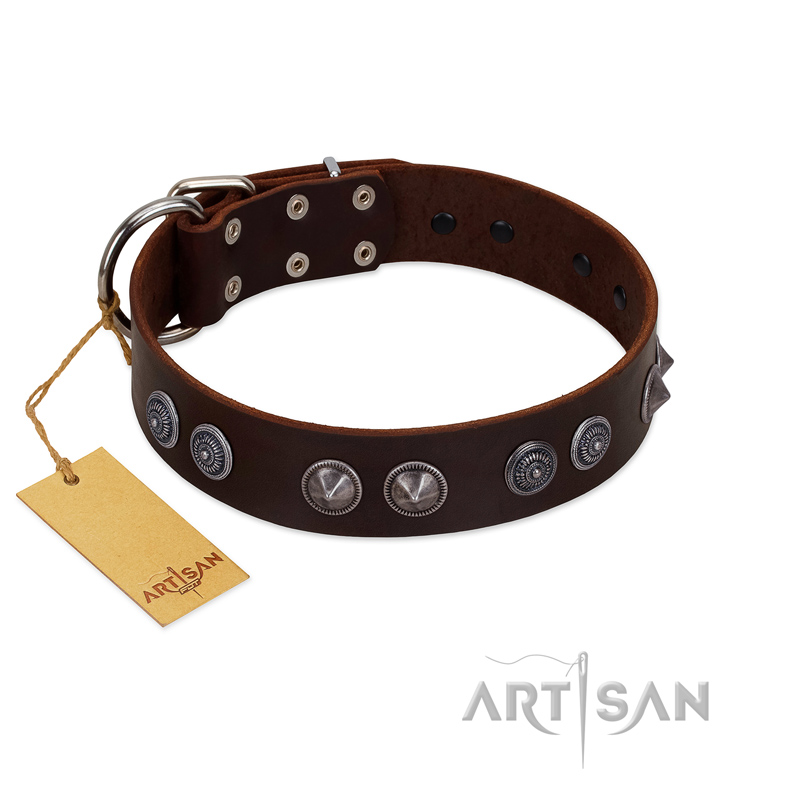 "King Arthur" FDT Artisan Brown Leather Black Russian Terrier Collar with Spiky Plates