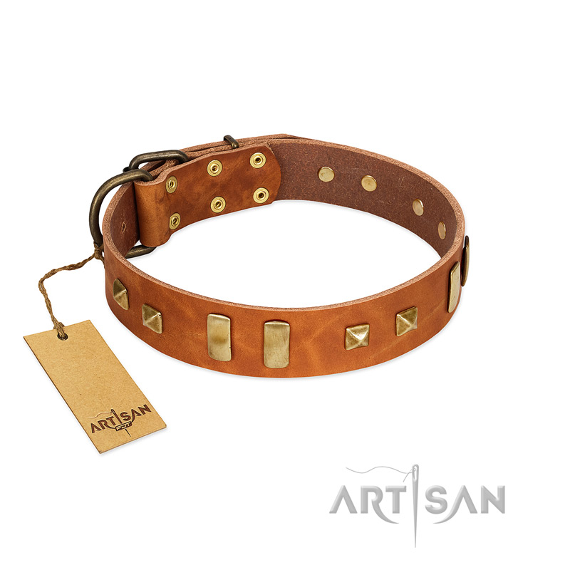 "Sand of Time" FDT Artisan Tan Leather Black Russian Terrier Collar with Old Bronze-like Studs and Plates
