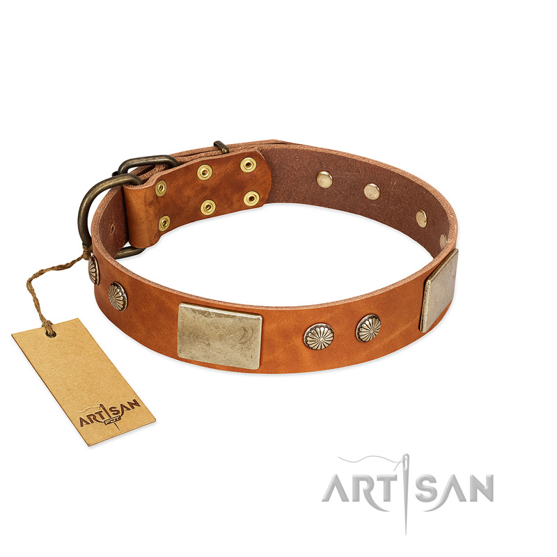 "Ancient Treasures" FDT Artisan Tan Leather Black Russian Terrier Collar with Antiqued Plates and Studs