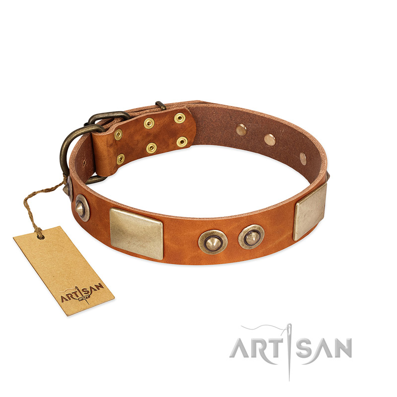 "Perfect Blend" FDT Artisan Tan Leather Black Russian Terrier Collar 1 1/2 inch (40 mm) wide
