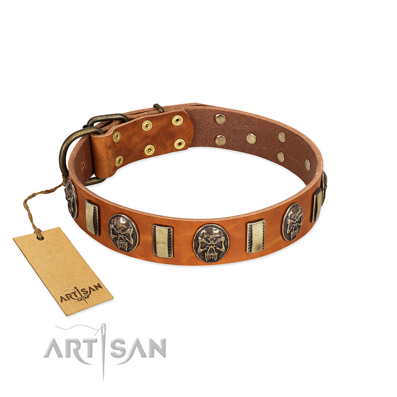 "Strike of Rock" FDT Artisan Tan Leather Black Russian Terrier Collar with Plates and Medallions with Skulls