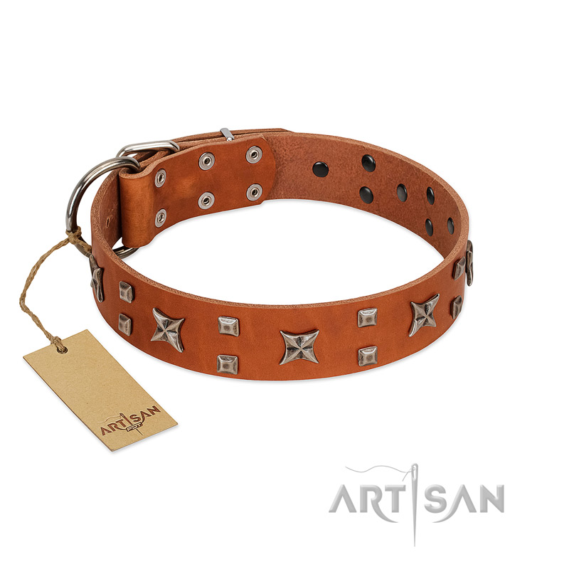 "Faraway Galaxy" FDT Artisan Tan Leather Black Russian Terrier Collar Adorned with Stars and Squares