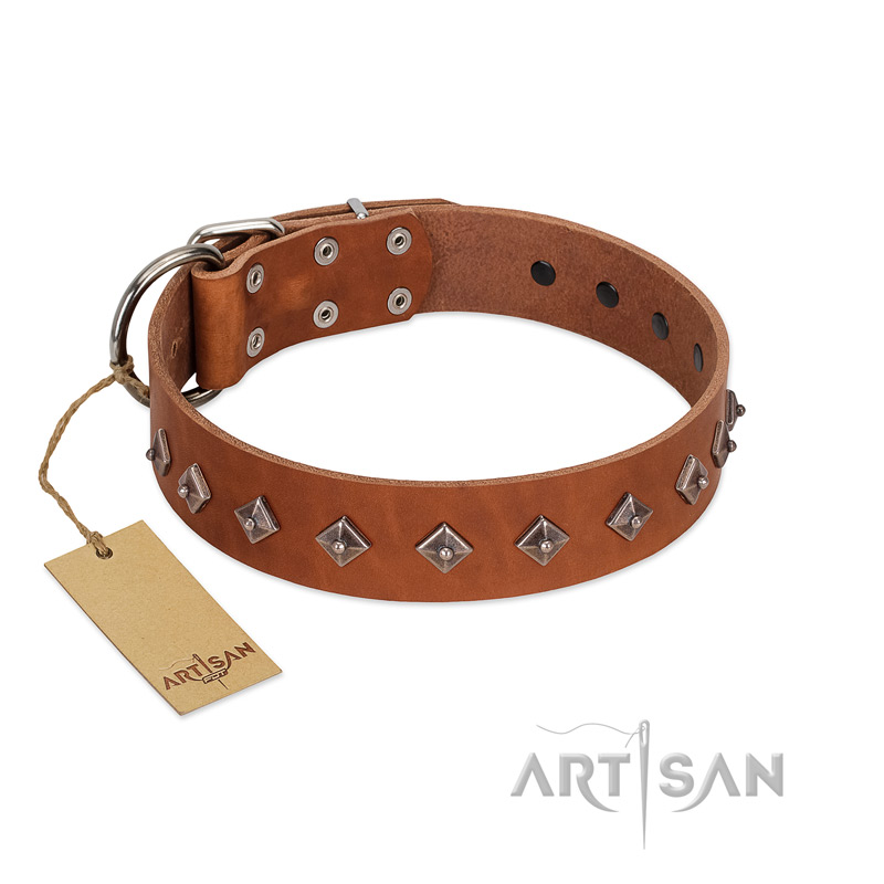 "Broadway" Handmade FDT Artisan Tan Leather Black Russian Terrier Collar with Dotted Pyramids