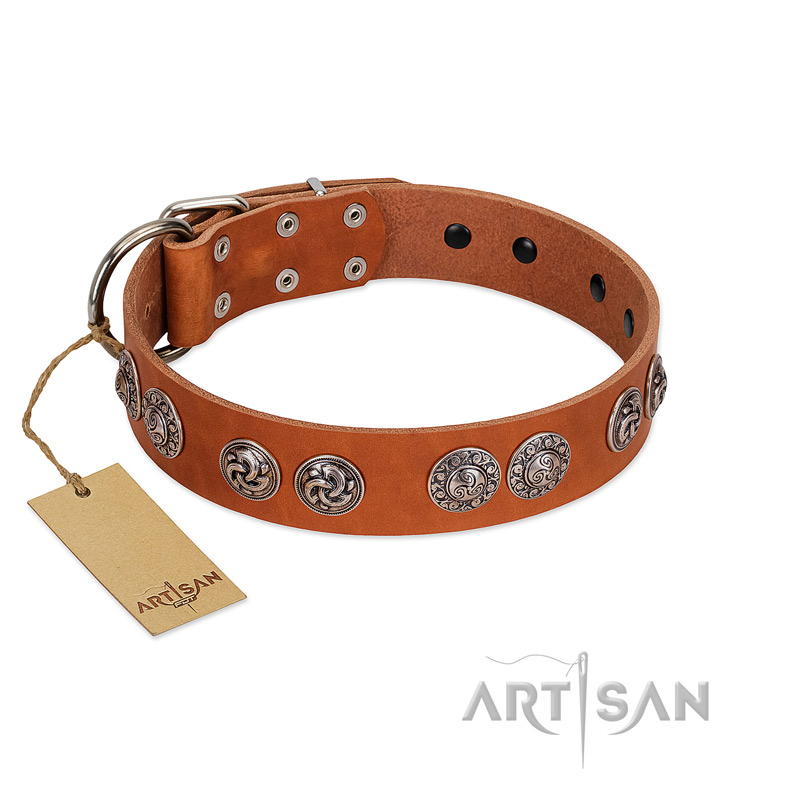 "Woofy Majesty" FDT Artisan Tan Leather Black Russian Terrier Collar with Round Silver-like Plates