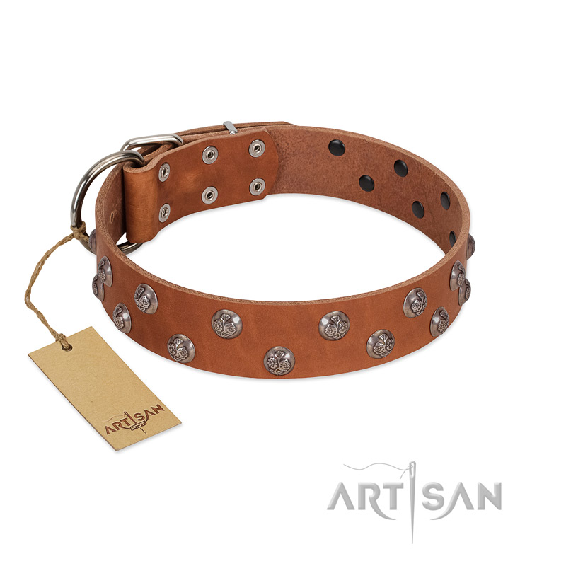 "Waltz of the Flowers" Handmade FDT Artisan Tan Leather Black Russian Terrier Collar with Chrome-plated Engraved Studs