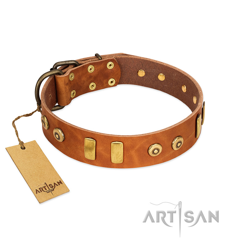 "Egyptian Script" FDT Artisan Tan Leather Black Russian Terrier Collar with Plates and Small Studs
