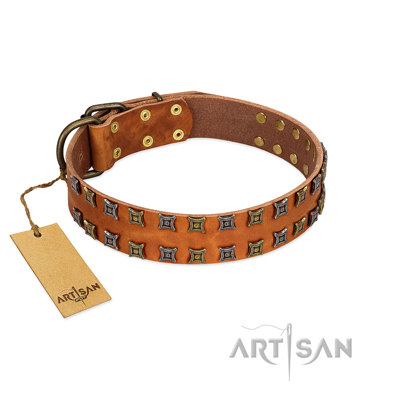 "Terra-cotta" FDT Artisan Tan Leather Black Russian Terrier Collar with Two Rows of Studs
