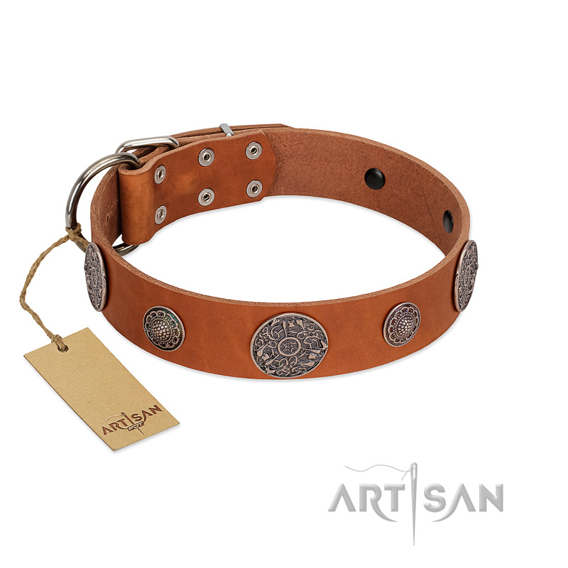 "Foxy Nature" FDT Artisan Tan Leather Black Russian Terrier Collar with Chrome Plated Brooches