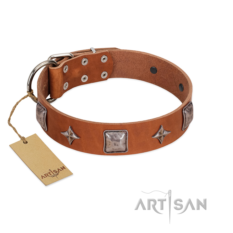 "Lucky Star" FDT Artisan Tan Leather Black Russian Terrier Collar with Silver-Like Embellishments