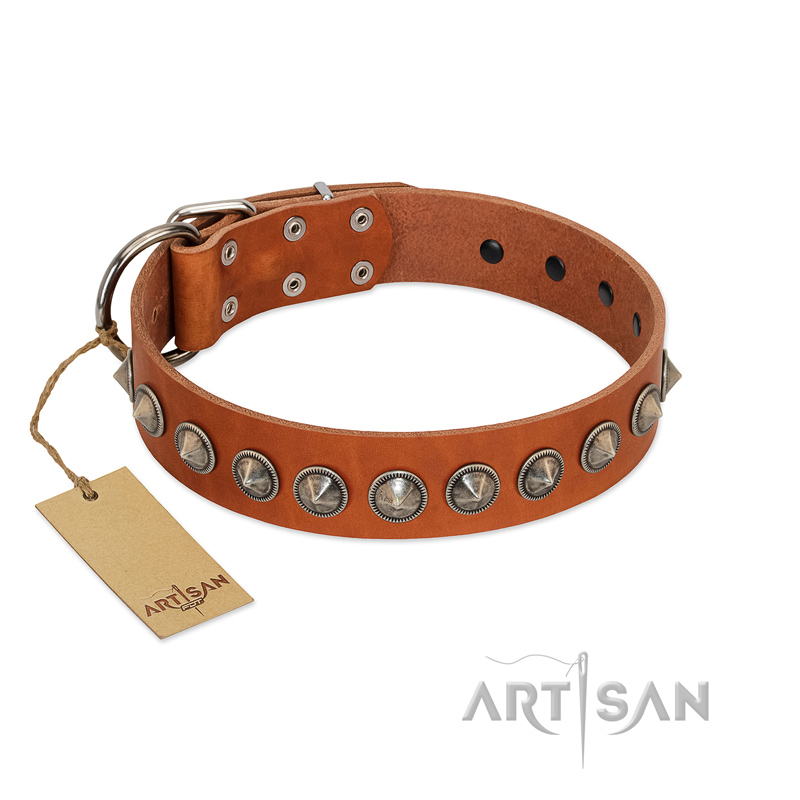 "Silver Spike" Handmade FDT Artisan Tan Leather Black Russian Terrier Collar with Old Silver-Like Spikes