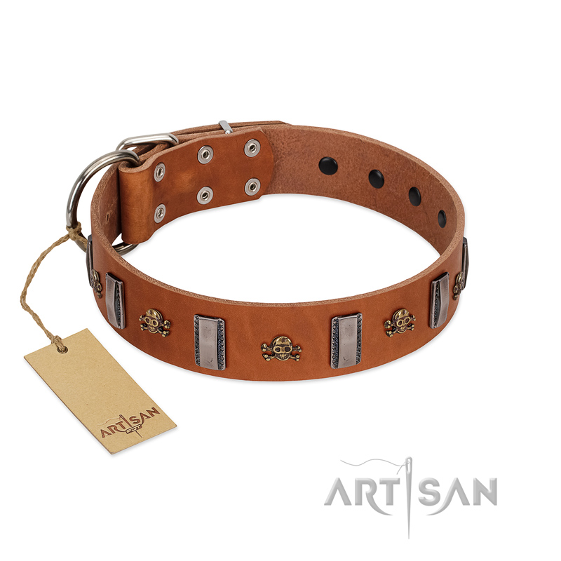 "Golden Crossbones" Handmade FDT Artisan Tan Leather Black Russian Terrier Collar with Plates and Skulls