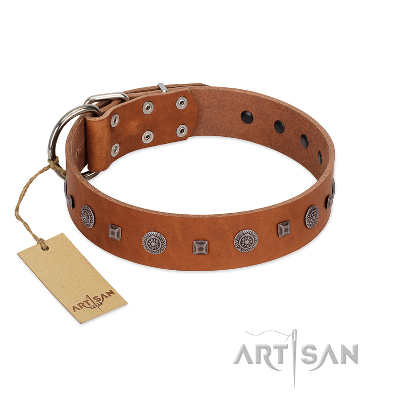 "Sweet Caramel" Designer FDT Artisan Tan Leather Black Russian Terrier Collar