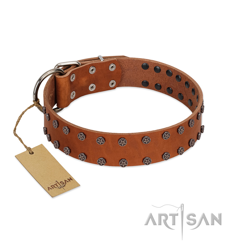 "Star Light" Stylish FDT Artisan Tan Leather Black Russian Terrier Collar with Silver-Like Studs