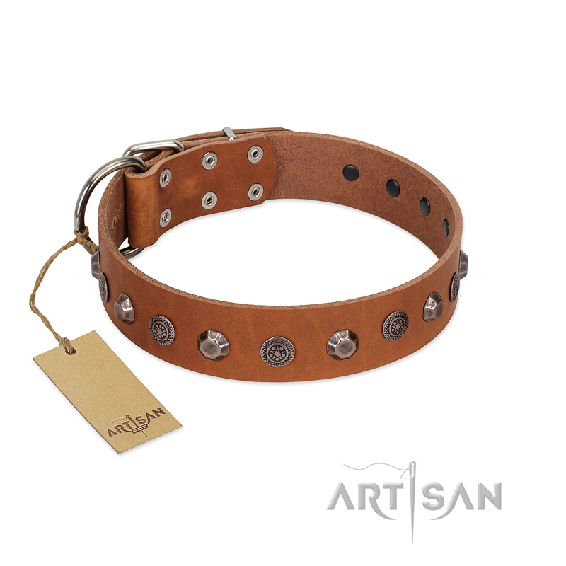 "Silver Age" Fashionable FDT Artisan Tan Leather Black Russian Terrier Collar with Silver-Like Studs