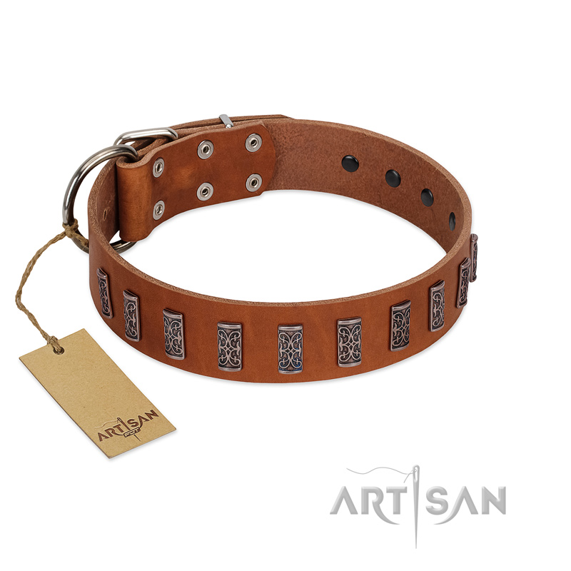 "Silver Century" Fashionable FDT Artisan Tan Leather Black Russian Terrier Collar with Silver-Like Plates