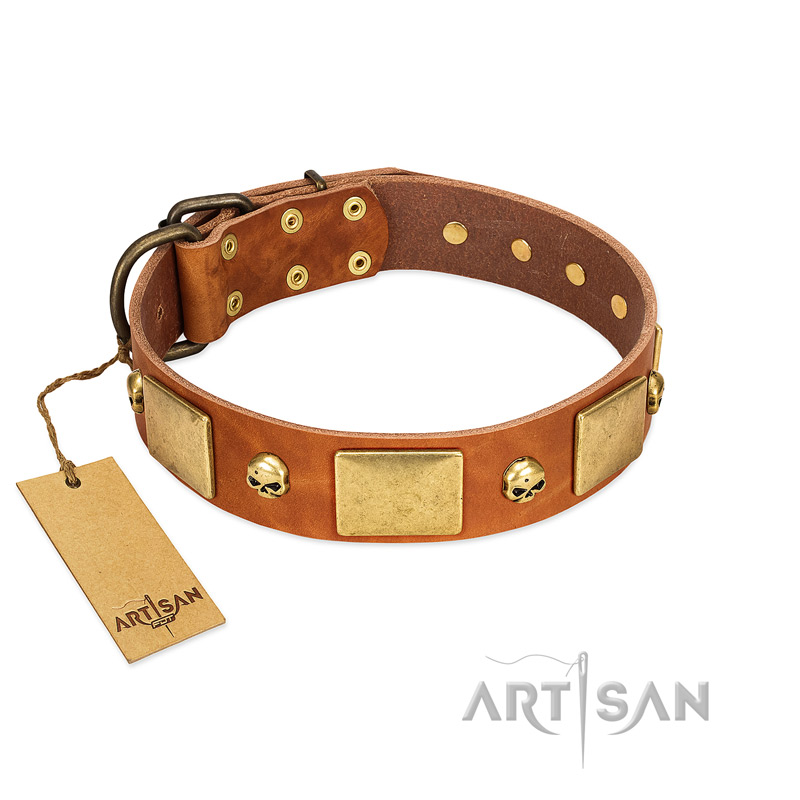 "Mutt The Daredevil" FDT Artisan Tan Leather Black Russian Terrier Collar with Old Bronze-like Skulls and Plates