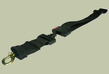 Dog Leash for Black Russian Terrier - Click Image to Close