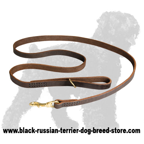 Quality Leather Black Russian Terrier Leash with Strong Fittings