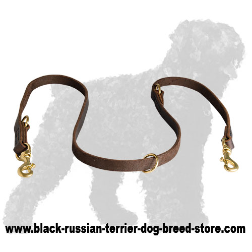 High Quality Leather Black Russian Terrier Leash