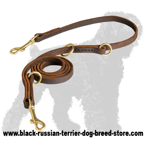 High Quality Multifunctional Training Leather Black Russian Terrier Leash