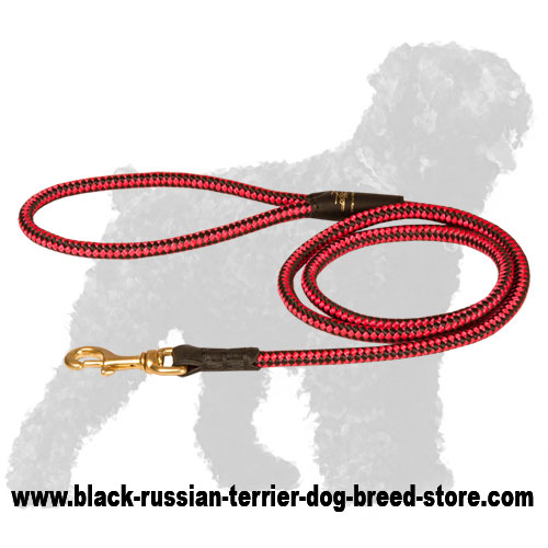 Reliable Cord Nylon Black Russian Terrier Leash in Bright Colors