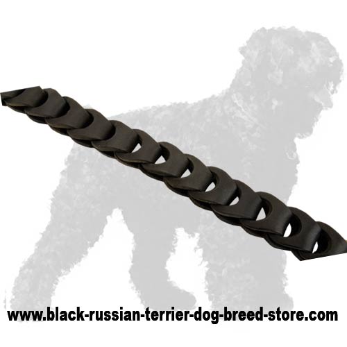 Stylish Braids of Leather Russian Terrier Leash