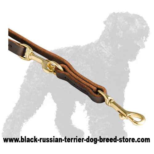 Durable Brass Fittings of Walking Leather Dog Leash for Black Russian Terrier