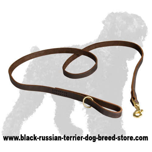 Strong Leather Dog Leash for Black Russian Terrier