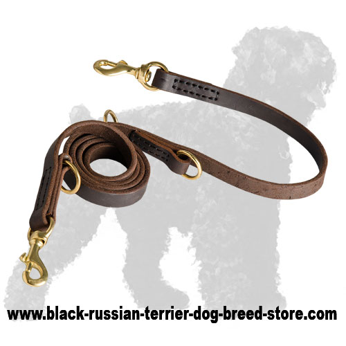 Durable Walking Leather Dog Leash for Black Russian Terrier