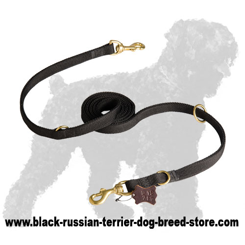 Reliable Nylon Russian Terrier Leash