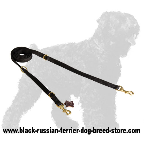 Hand-Made Walking Nylon Black Russian Terrier Leash