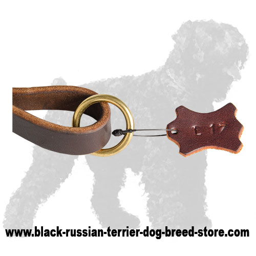 Wide O-ring of Braided Short Leather Russian Terrier Leash